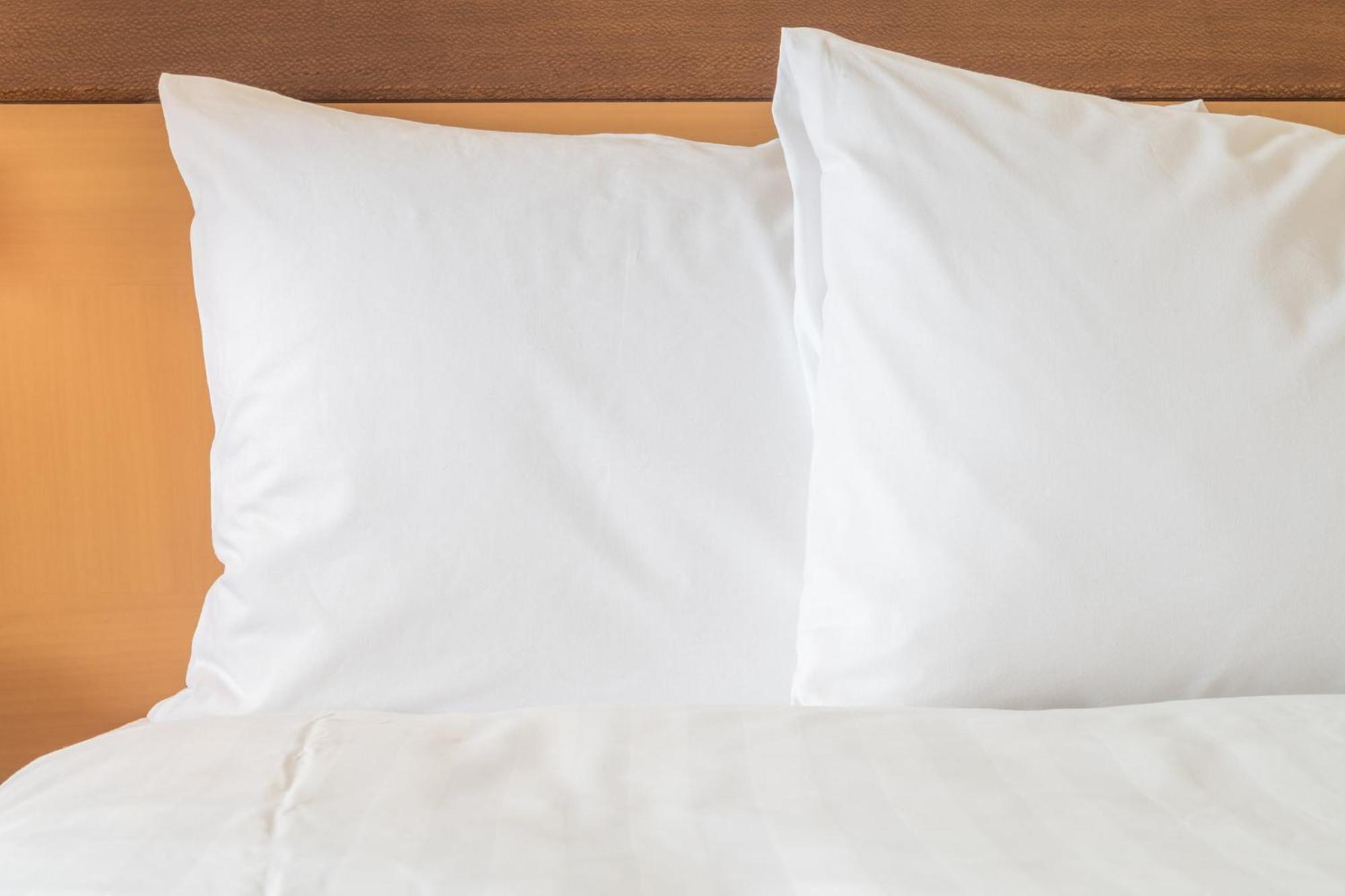 Crowne Plaza Jacksonville Airport By Ihg Eksteriør bilde