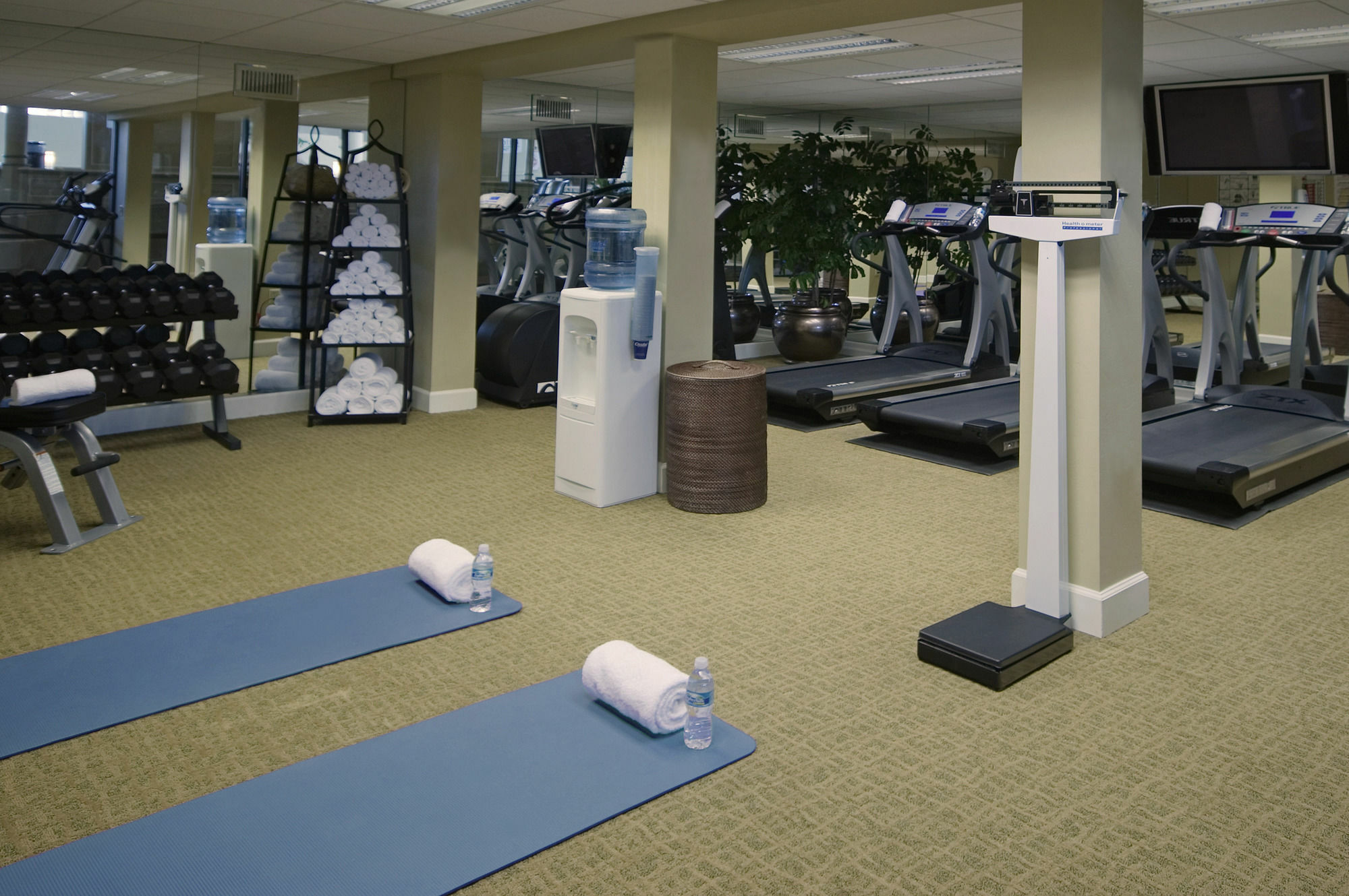 Crowne Plaza Jacksonville Airport By Ihg Eksteriør bilde